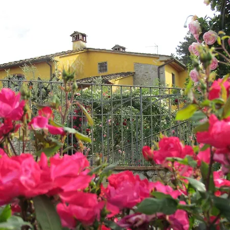 Sole Di Toscana *